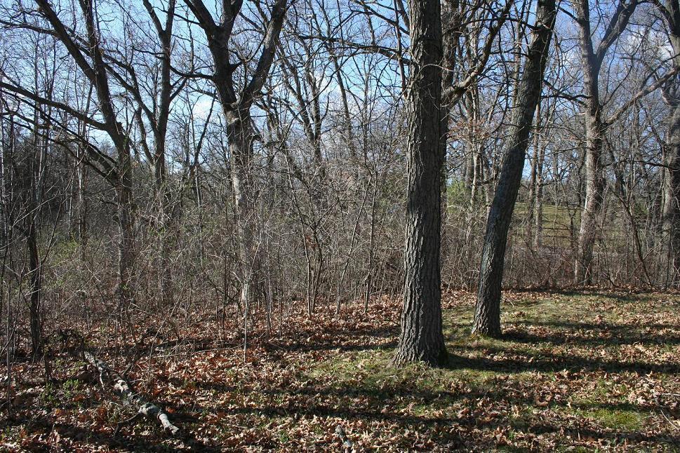 N9169 Deer Path, East Troy, WI 53120