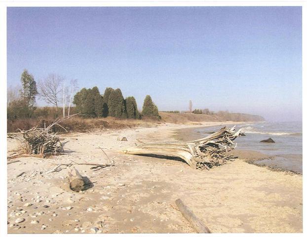 Lot 1 Blue Heron Way, Newton, WI 53063