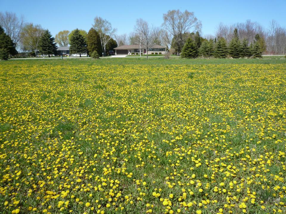 Lt12 Blk2 Orchard Beach Dr .83 Ac, Mosel, WI 53083