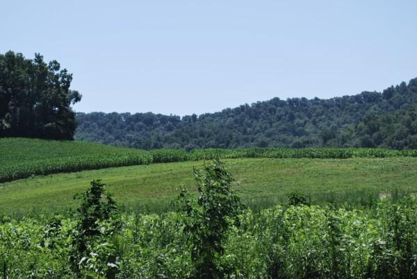 LOT 14 Pinewood Dr, Onalaska, WI 54650