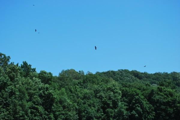 LOT 24 Pinewood Dr, Onalaska, WI 54650