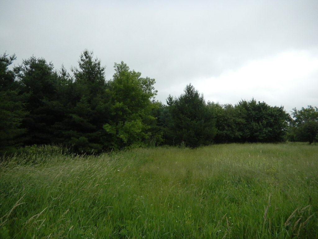 W1658 Froelich Rd, Sullivan, WI 53178