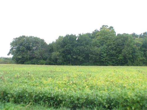 18260 W Observatory Rd. #Lt3, New Berlin, WI 53146