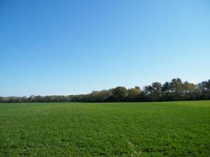 Lt1 State Highway 83, Delafield, WI 53029