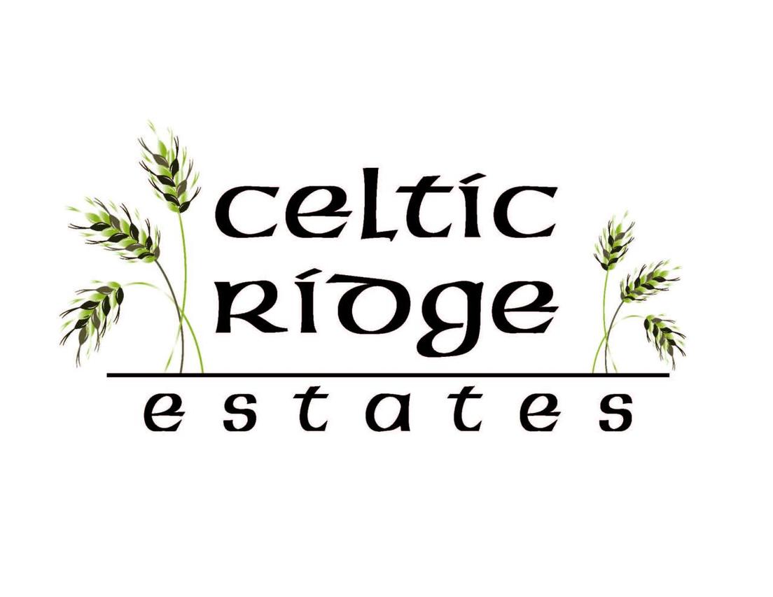 Lt14 Celtic Ridge, Lisbon, WI 53089