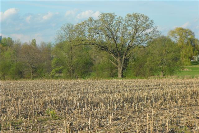25 Acres River Dr, Johnson Creek, WI 53038