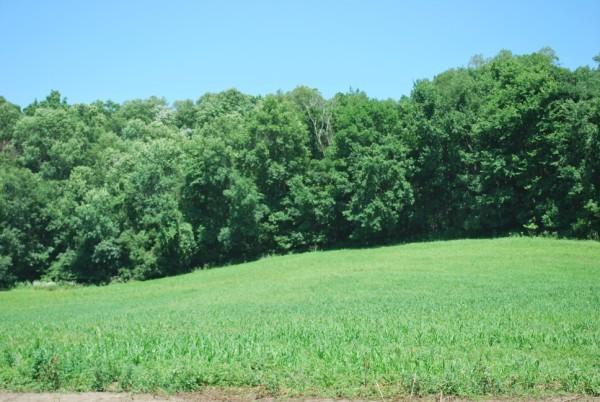 LOT 27 Willow Wood Ct, Onalaska, WI 54650