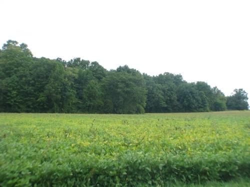 18140 W Observatory Rd. #Lt3, New Berlin, WI 53146