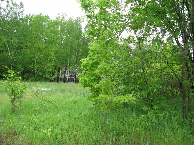 Lt2 Grandview Rd #CSM 5954, Farmington, WI 53021