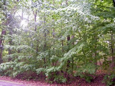 21525 W Lochinvar Ln., New Berlin, WI 53146