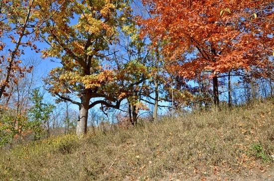 6480 St Patrick's Ln, Erin, WI 53027