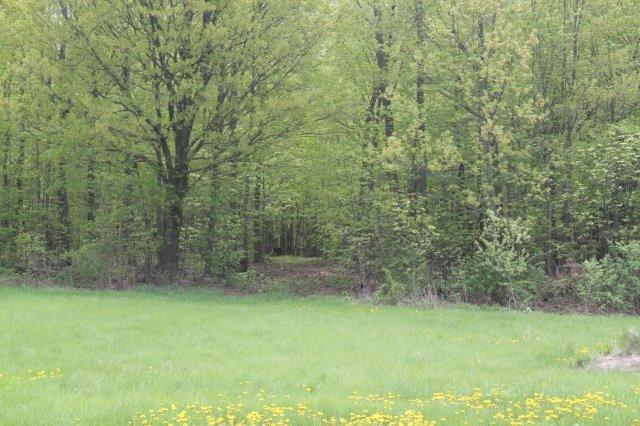 2654 Countryside Ln, Polk, WI 53076