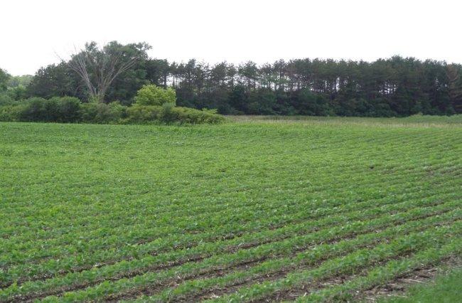 S Raynor Ave, Dover, WI 53182