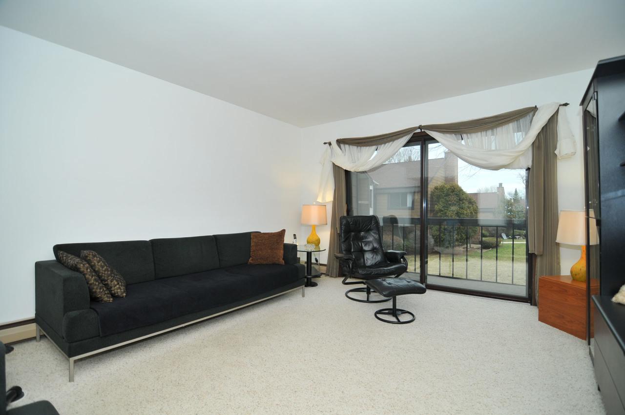 8617 N Servite Dr #206, Milwaukee, WI 53223