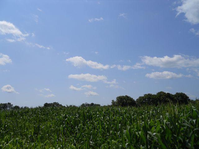 24.9 Acre Spruce Dr, Farmington, WI 53094