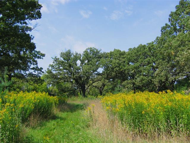 Lt44 Cobb Rd, Lafayette, WI 53121