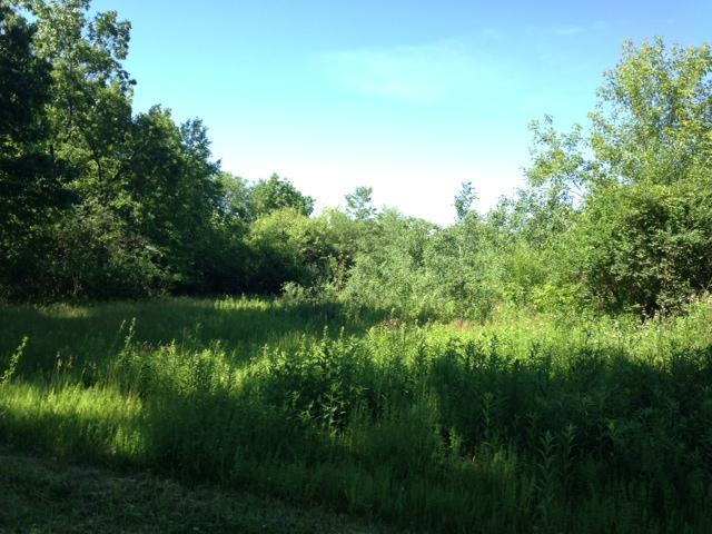 N75W27811 Summerstone Rd #Lt10, Merton, WI 53029