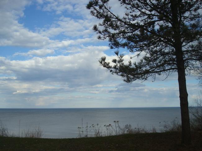 7321 County Road Ls -, Newton, WI 54220