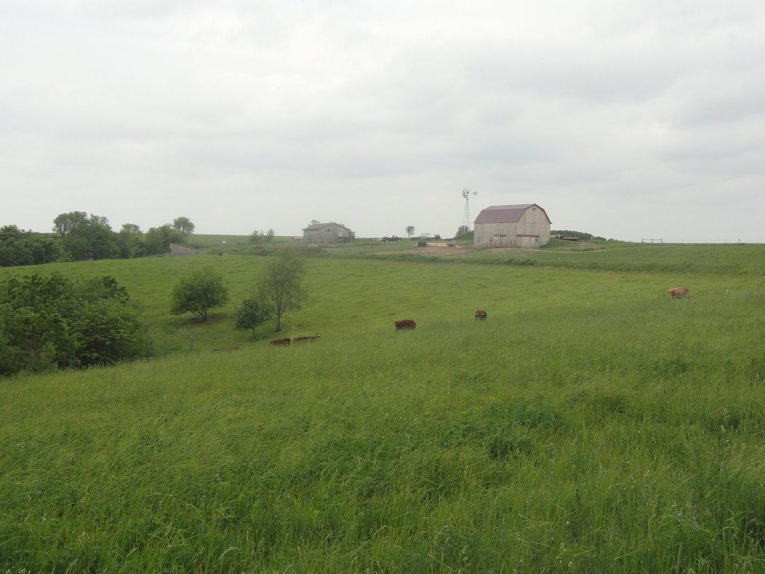 27777 Newland, Portland, WI 54619