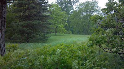 Lt2 N Sherman St, Eagle, WI 53119