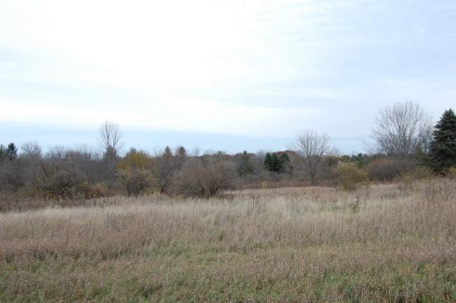 W259N6022 Mary Hill #Lt1, Lisbon, WI 53089