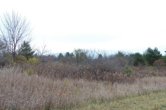 W259N6022 Mary Hill #Lt3, Lisbon, WI 53089