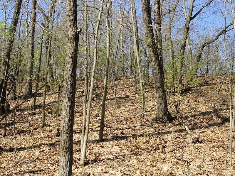 21155 W Barton Rd, New Berlin, WI 53146