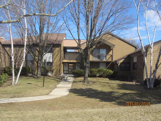 8643 N Servite Dr #216, Milwaukee, WI 53223