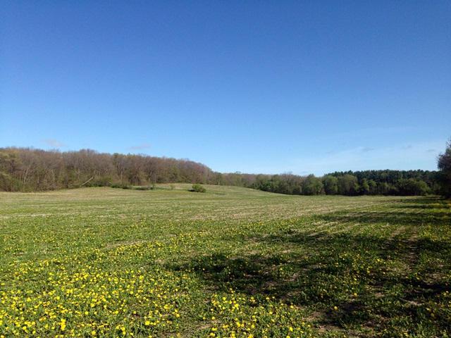 22.95 Acre County Road A West, Mitchell, WI 53011