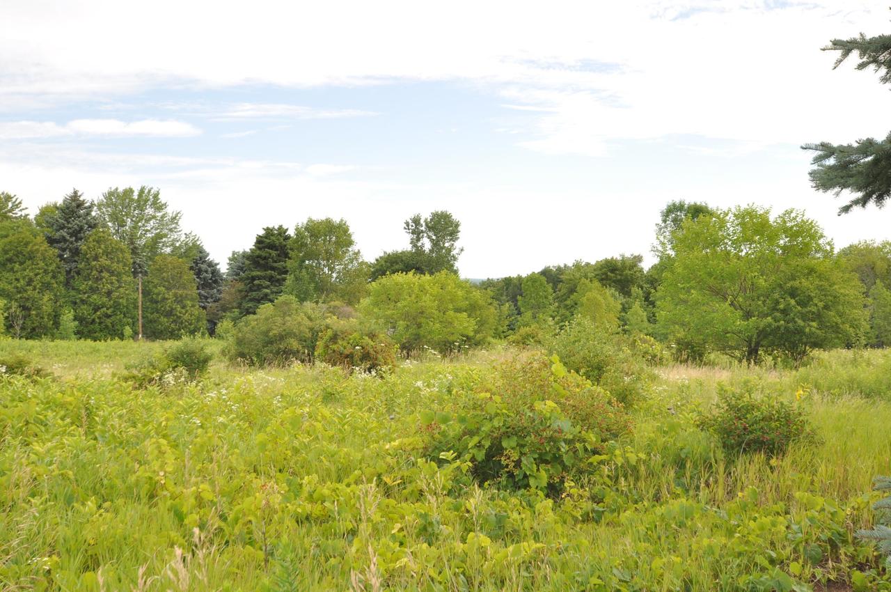 W259N6048 Mary Hill, Lisbon, WI 53089