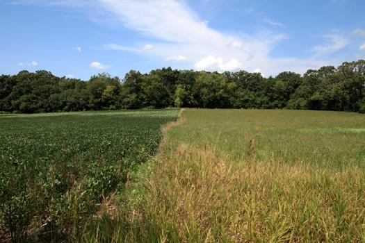 Lt1 Wilton Rd., Eagle, WI 53119