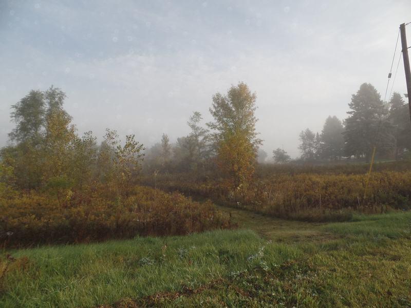 Wisconsin St, Adell, WI 53001