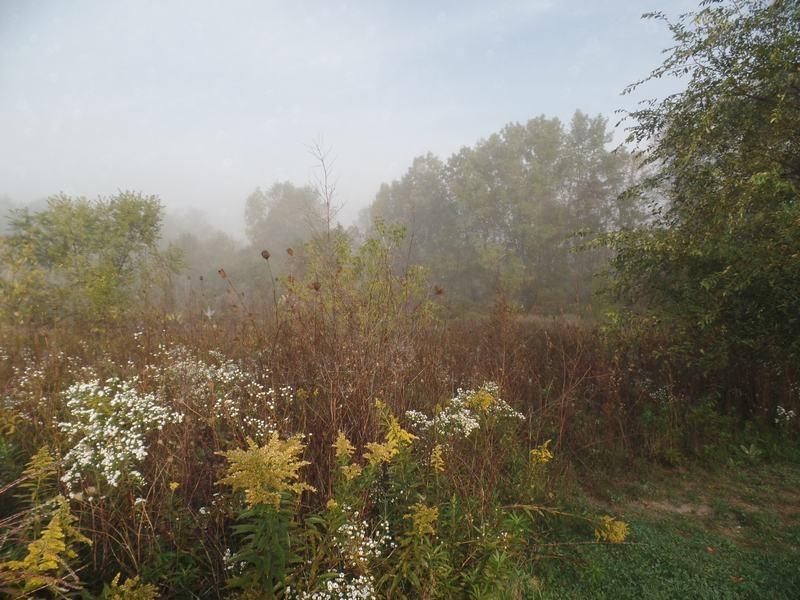 Wisconsin St, Adell, WI 53001