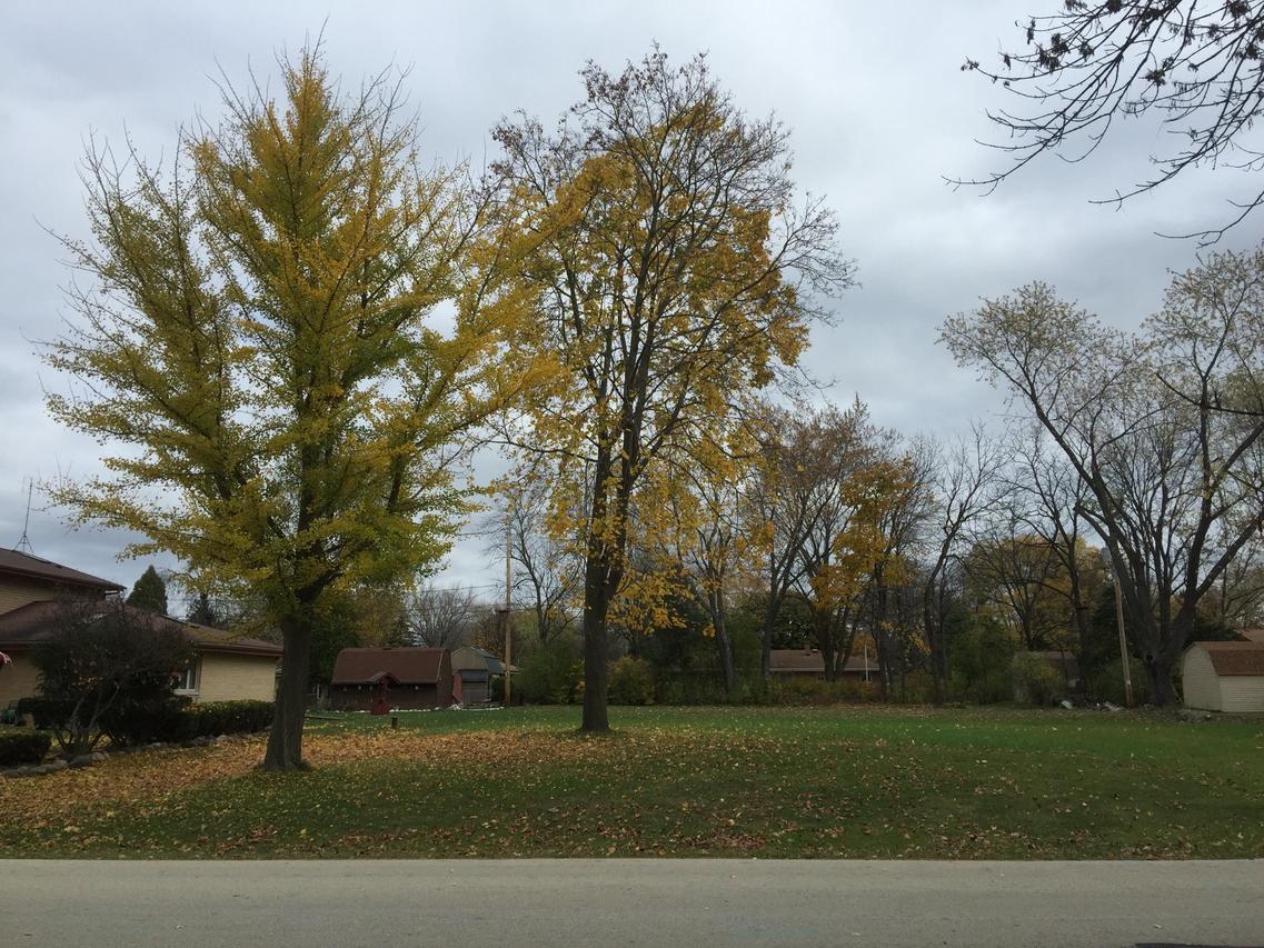 6512 S 120th St., Franklin, WI 53132