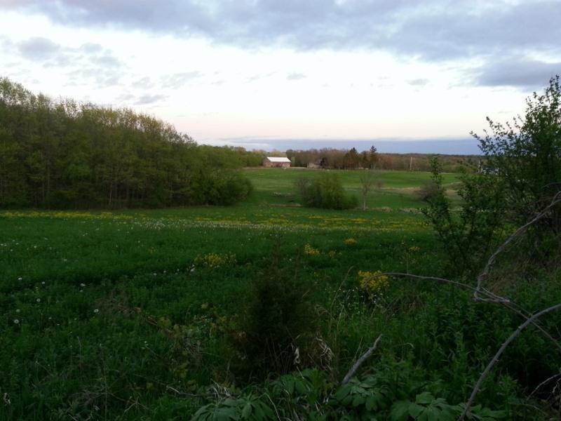 S46W22880 Lawnsdale Rd #Lt4, Waukesha, WI 53189