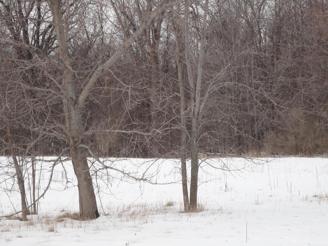 5520 River Hills Rd., Caledonia, WI 53402