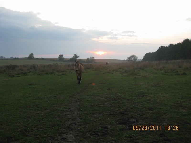 W267N5893 Moraine Dr, Lisbon, WI 53089