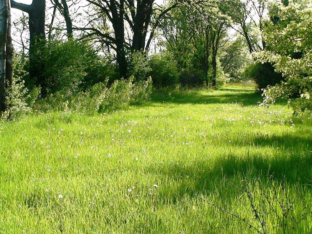 10475 W St Martins Rd #Lt4, Franklin, WI 53132