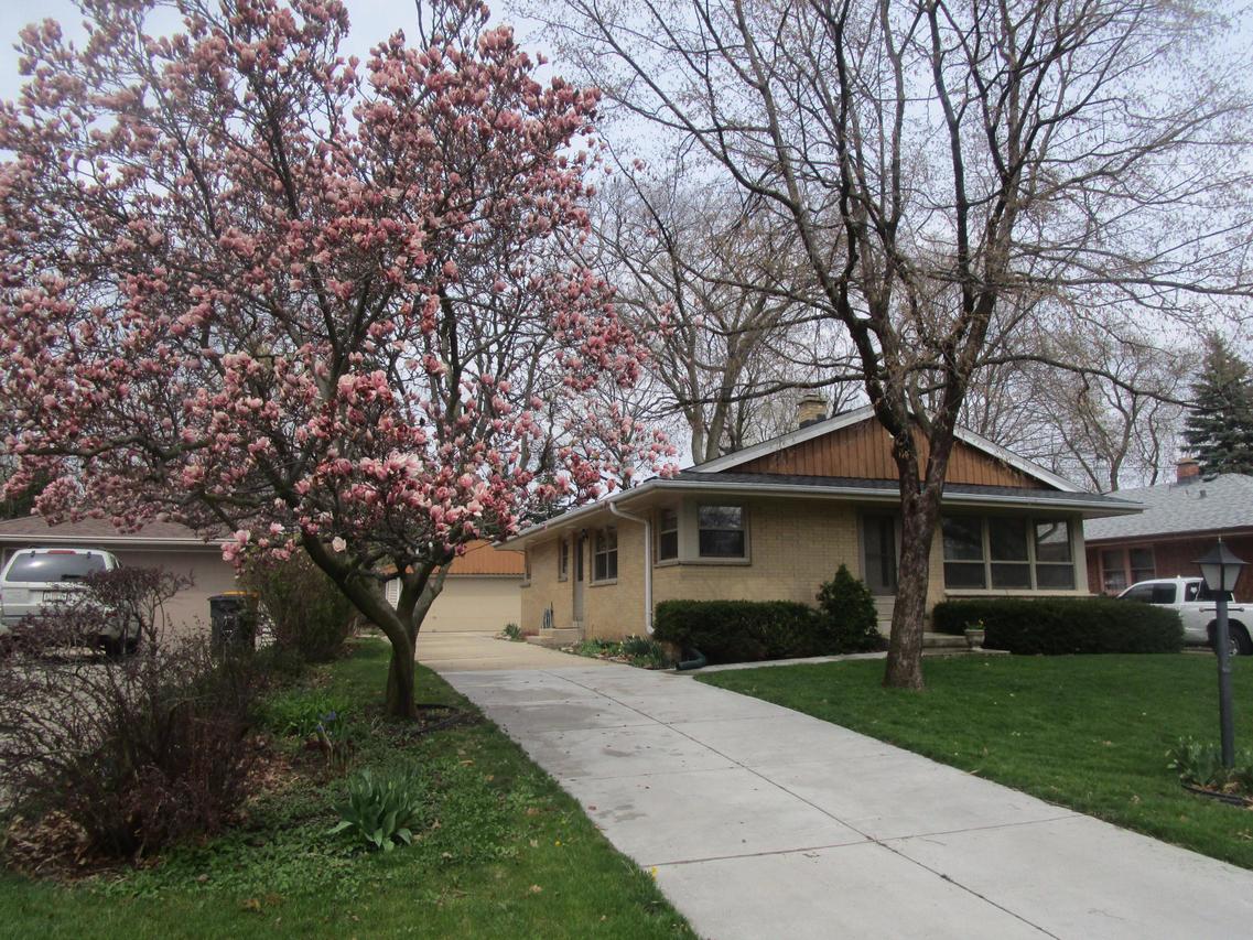 11630 W Martha Dr, Wauwatosa, WI 53226