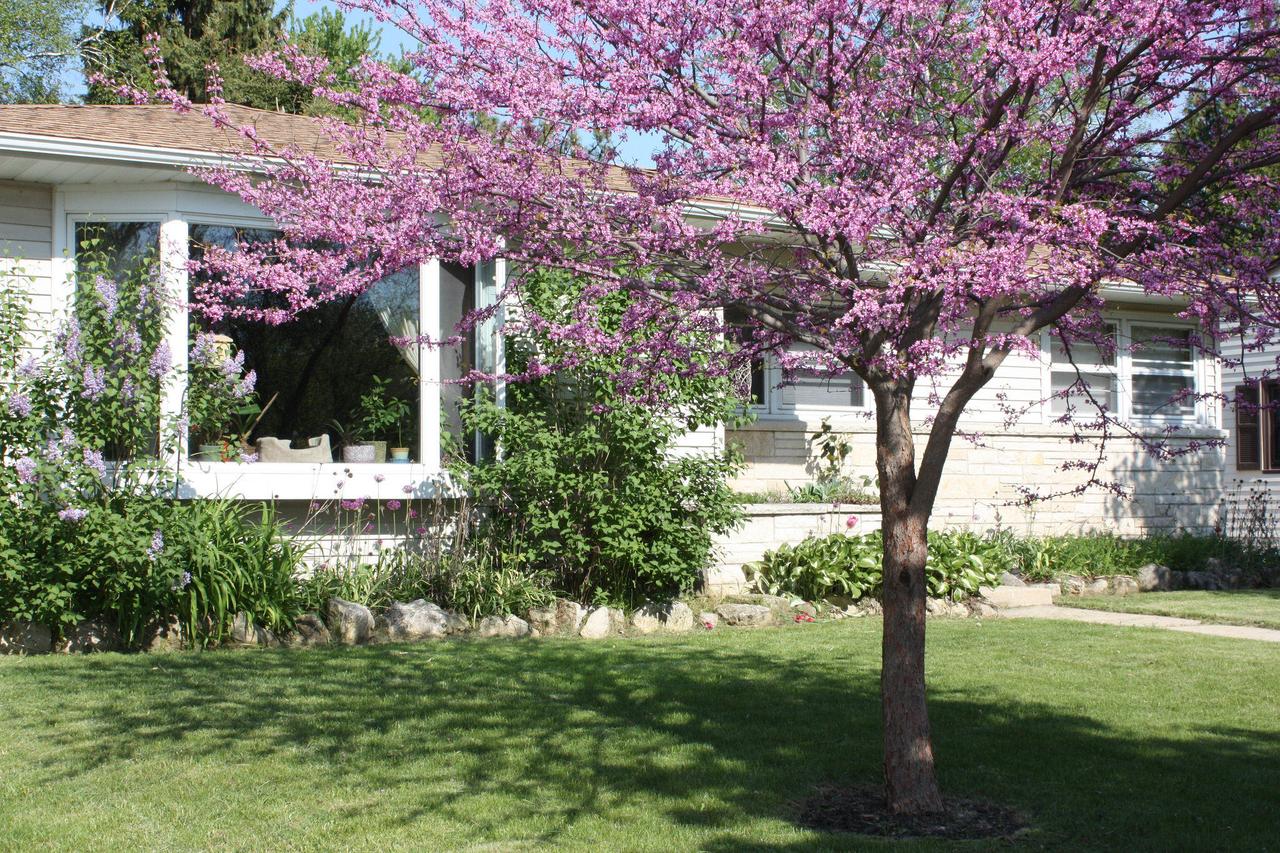 W63N331 Hillcrest Ave, Cedarburg, WI 53012