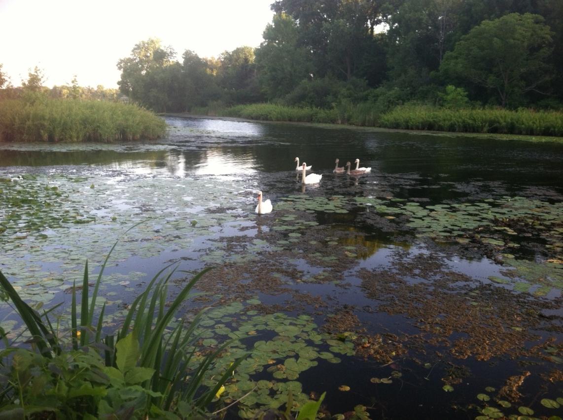 27101 Waubeesee Lake, Norway, WI 53185