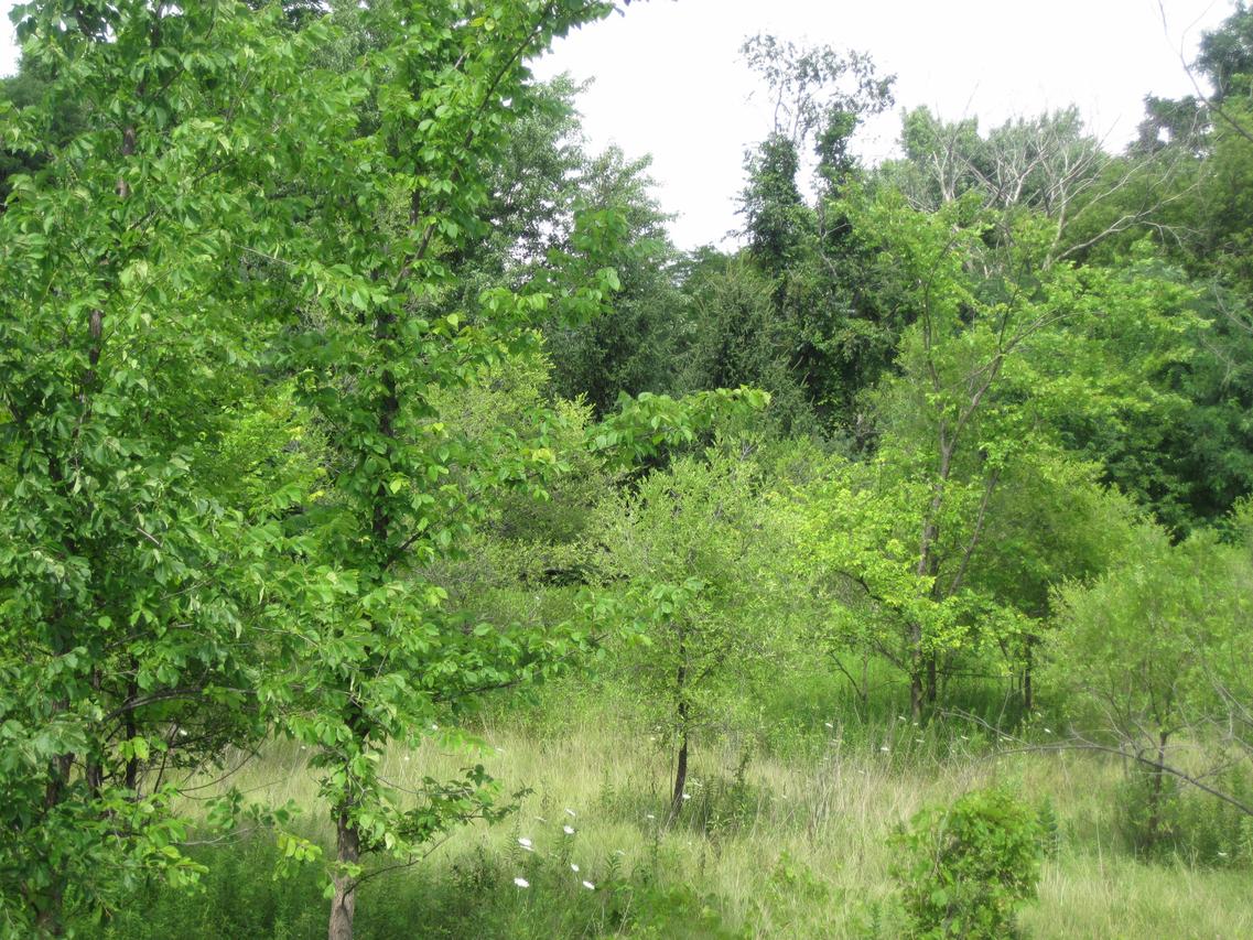 N6W27592 Northview Rd, Pewaukee, WI 53188