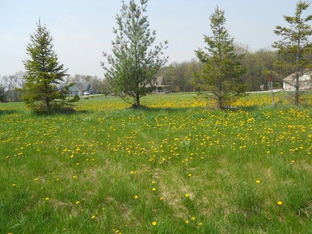 Lt1 River Rd, Watertown, WI 53094