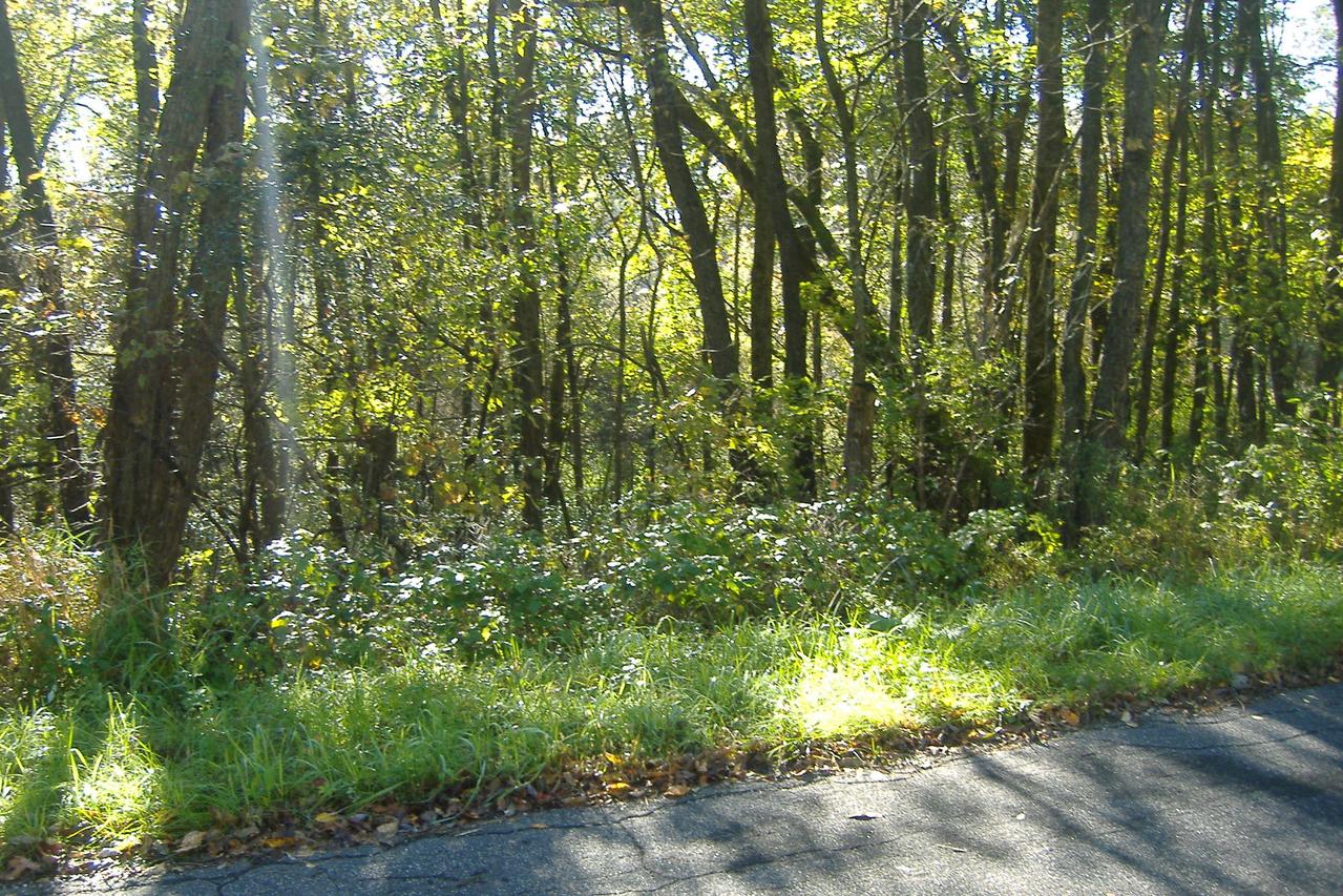 Lt8 Dalman Rd, Portland, WI 53594