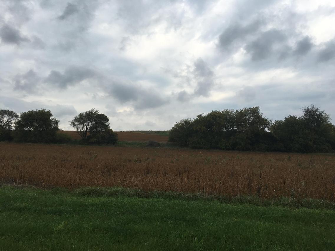 N61W26260 Brackyln Dr, Lisbon, WI 53089