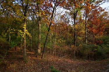S530 Indian Spring Dr., Delafield, WI 53018