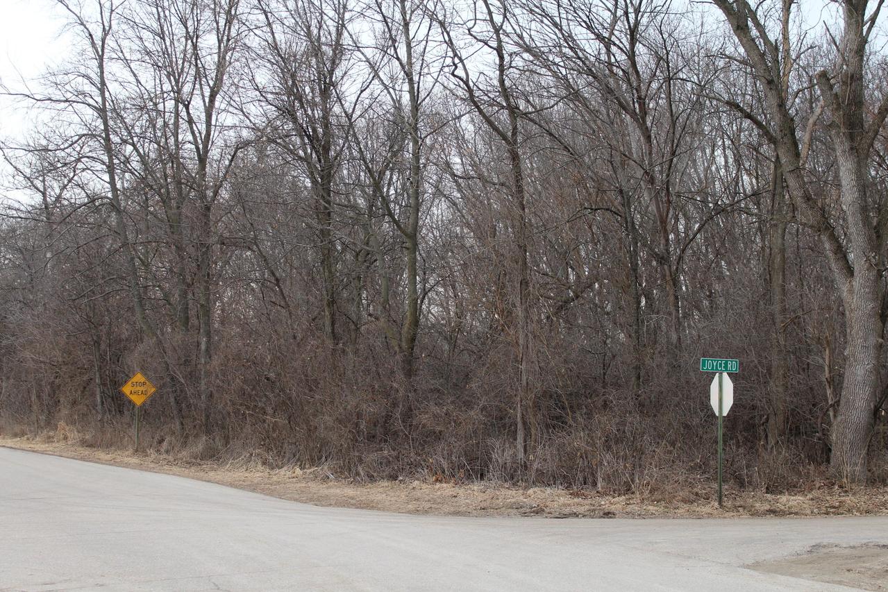 Lt11 Joyce Rd #13, Sumner, WI 53538