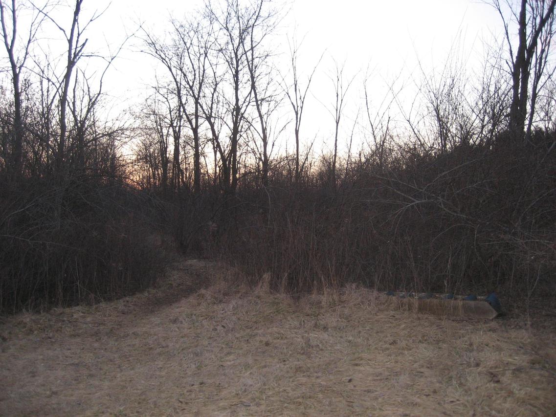 W250N7233 Hillside Rd, Lisbon, WI 53089