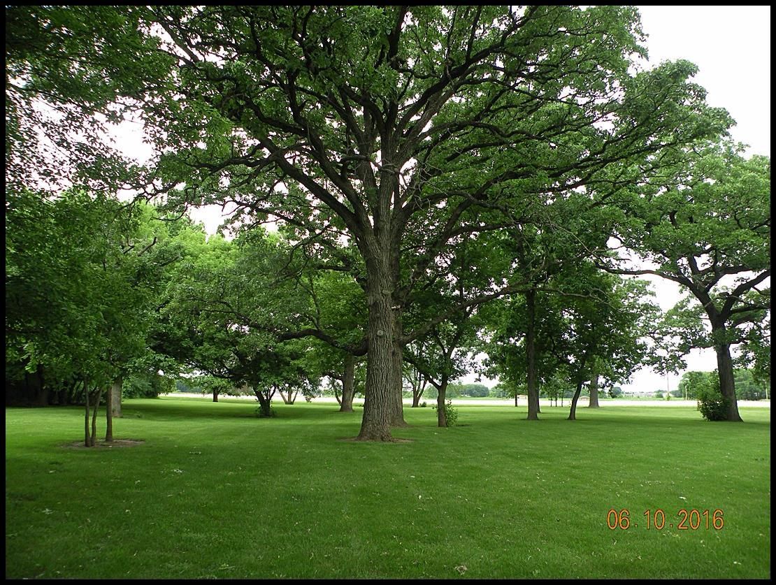 Lt Richmond Rd, Randall, WI 53181