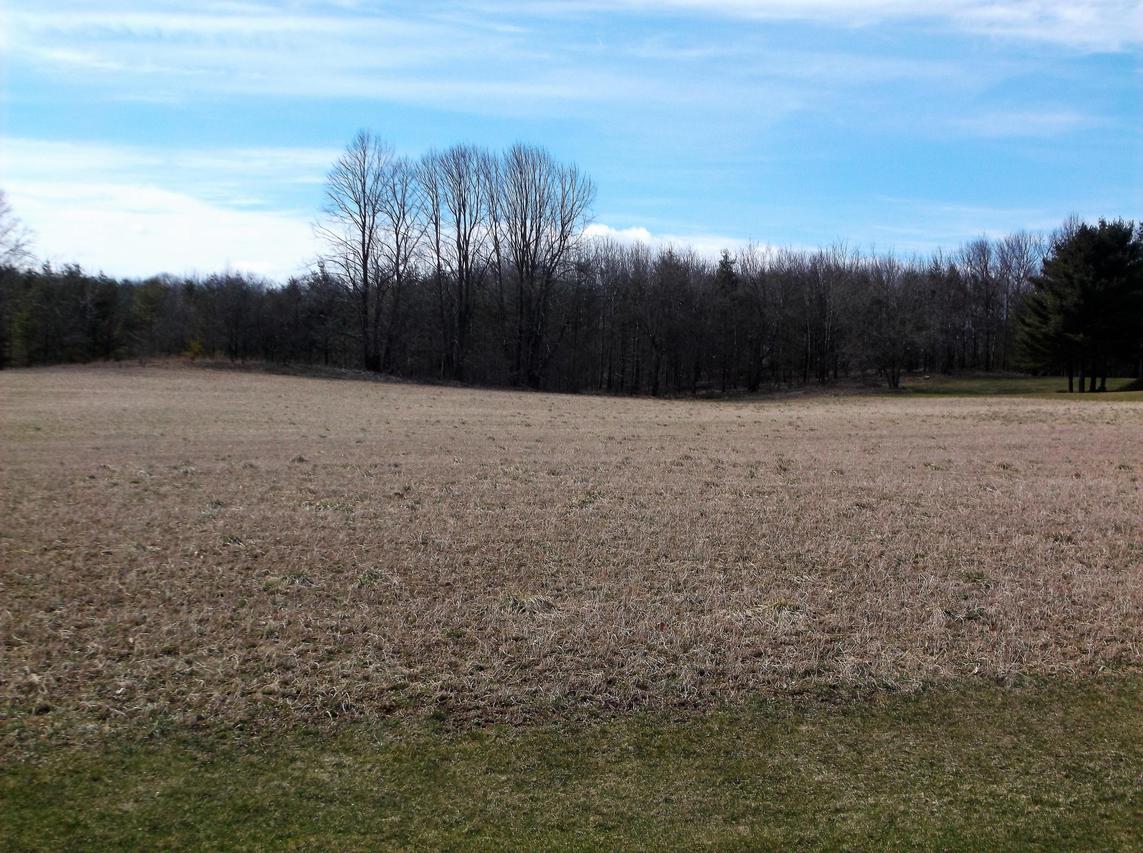 Tract 1 Halverson Ln., Cato, WI 54230